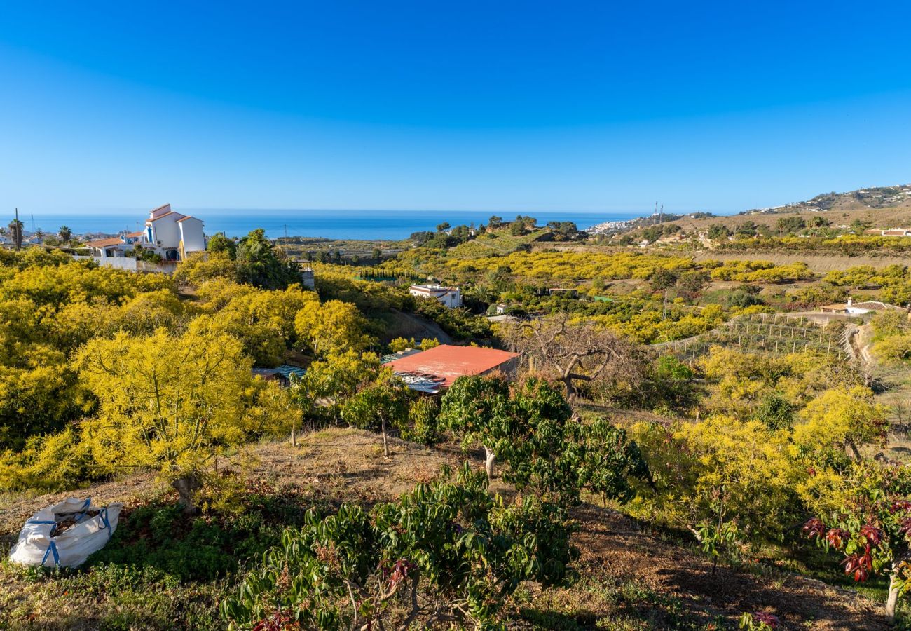 Gîte Rural à Nerja - Nerja 011