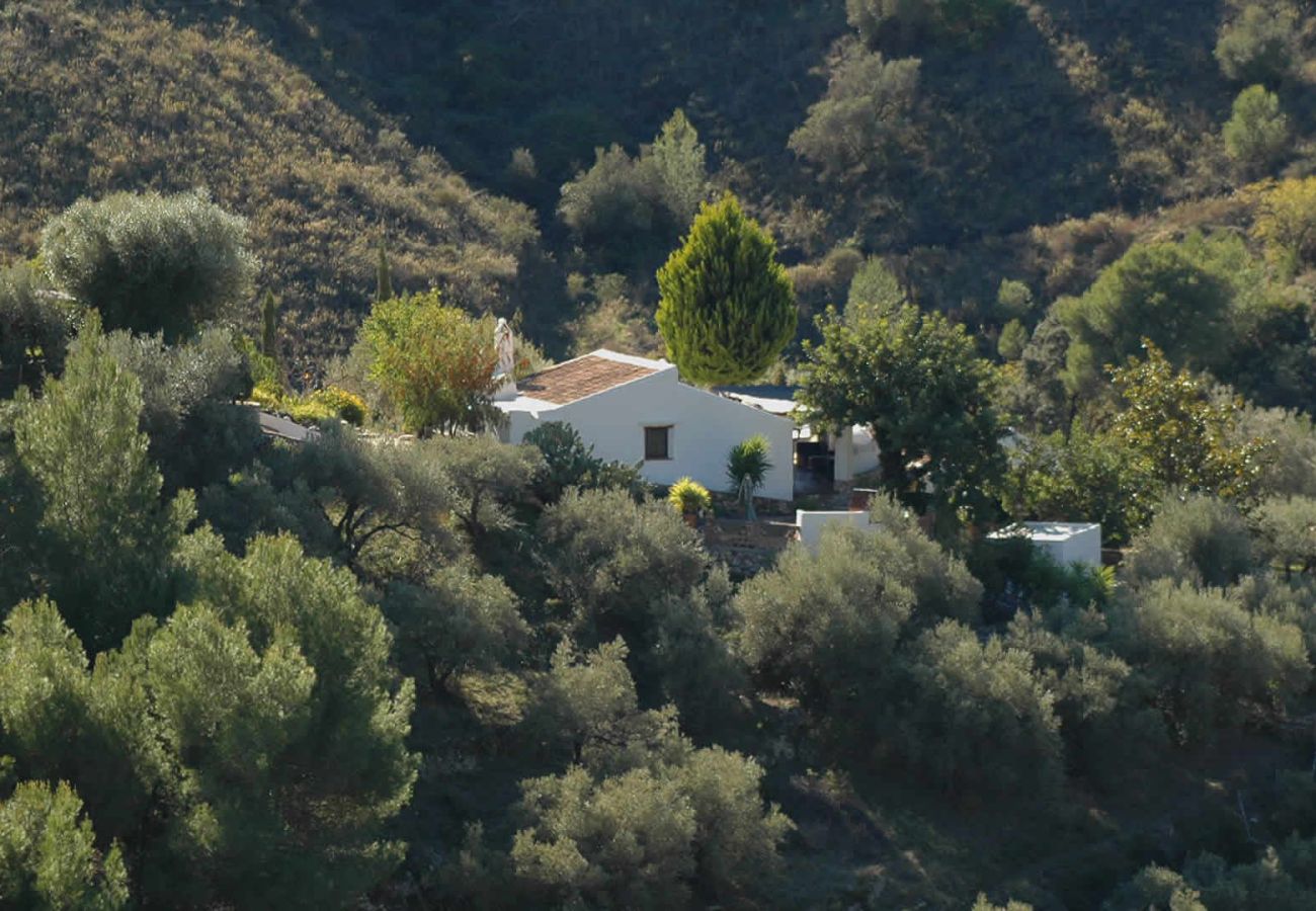 Gîte Rural à Frigiliana - Acebuchal 001 