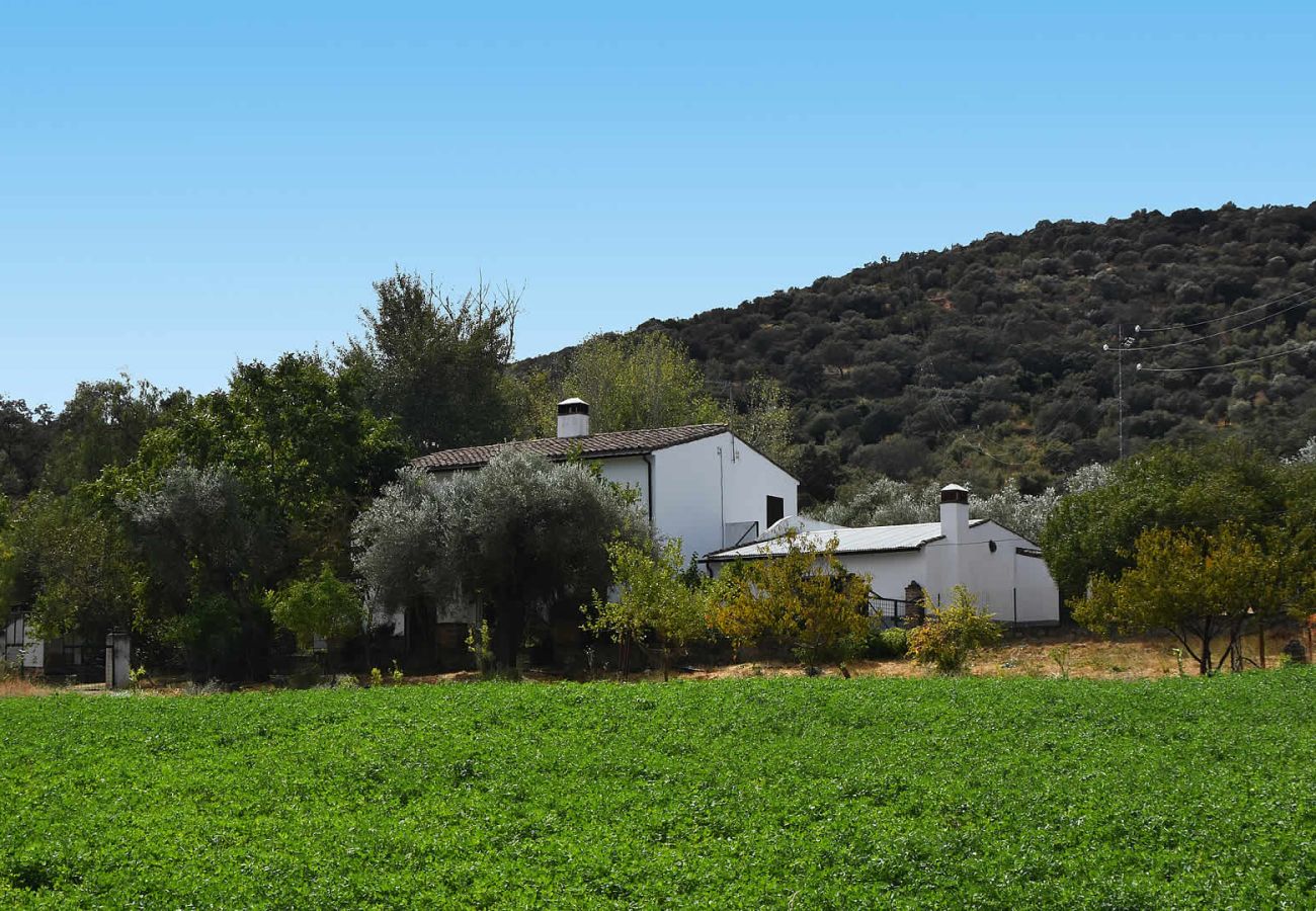 Gîte Rural à Aroche - Aracena 005