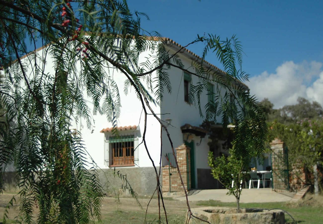 Gîte Rural à Aroche - Aracena 005