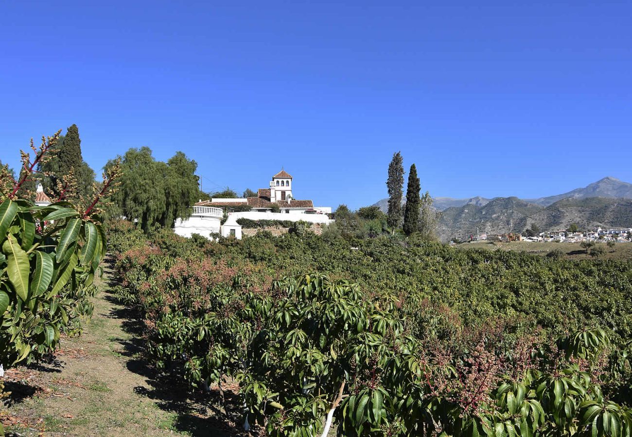 Villa à Nerja - Nerja 002