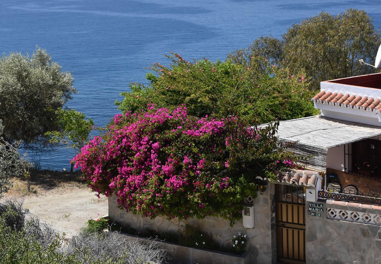 Villa à Nerja - Maro 001