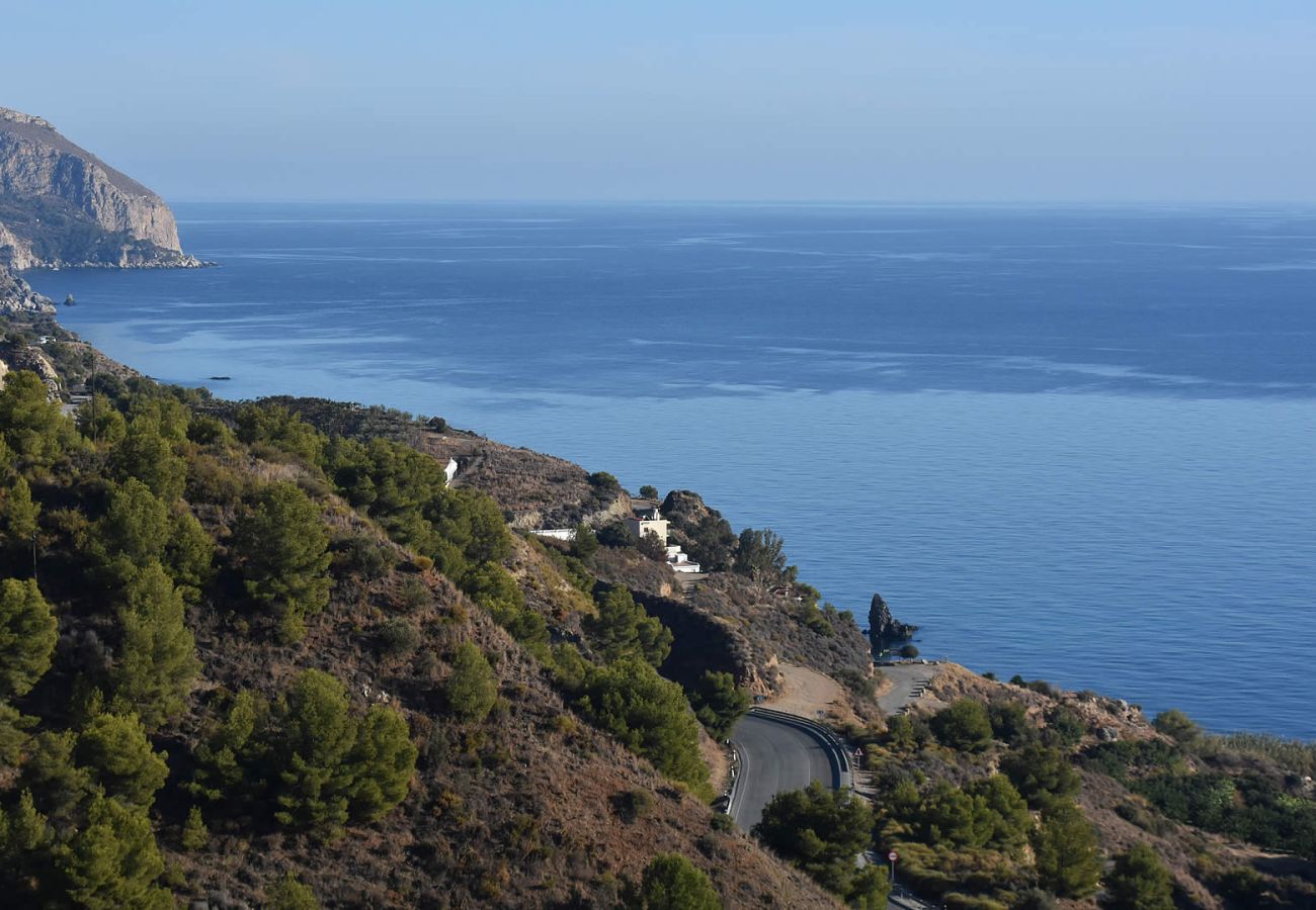 Villa à Nerja - Maro 002