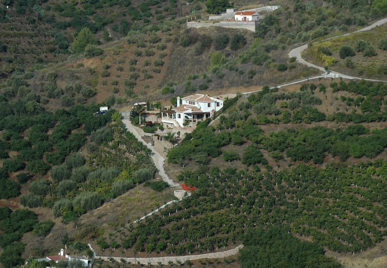 Villa à Frigiliana - Frigiliana 012