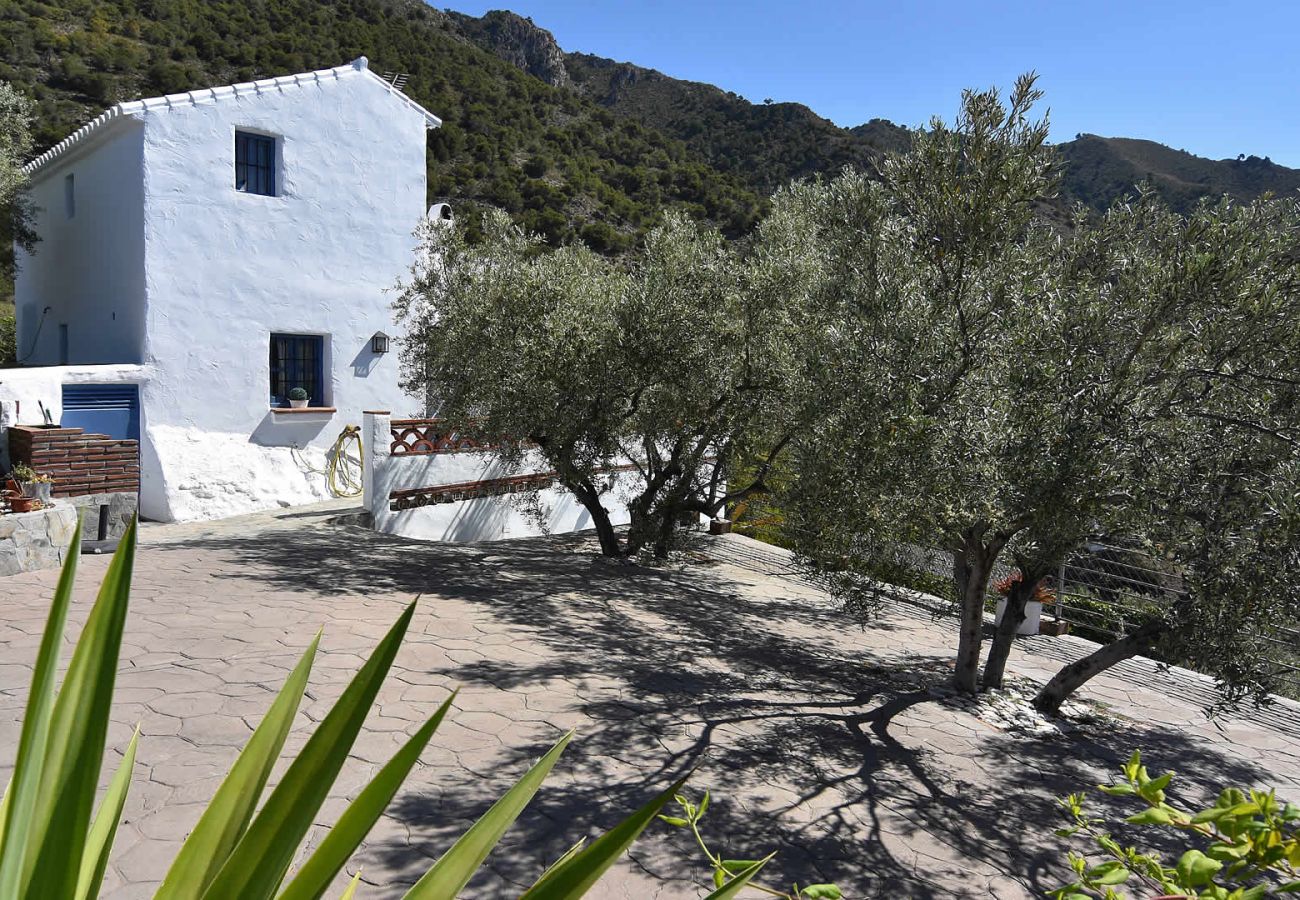 Villa à Frigiliana - Frigiliana 015