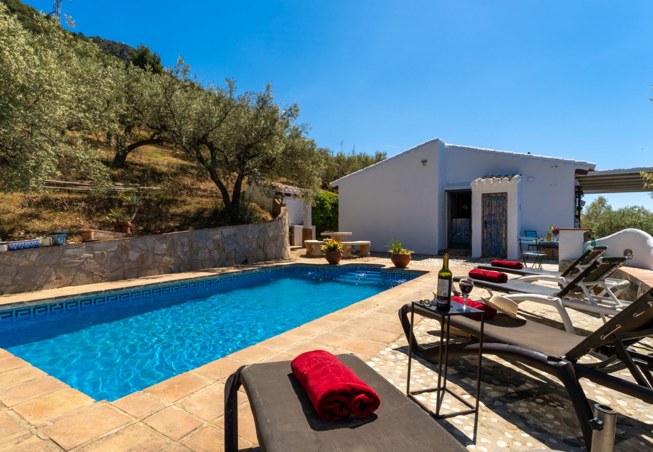 Villa à Frigiliana - Frigiliana 031