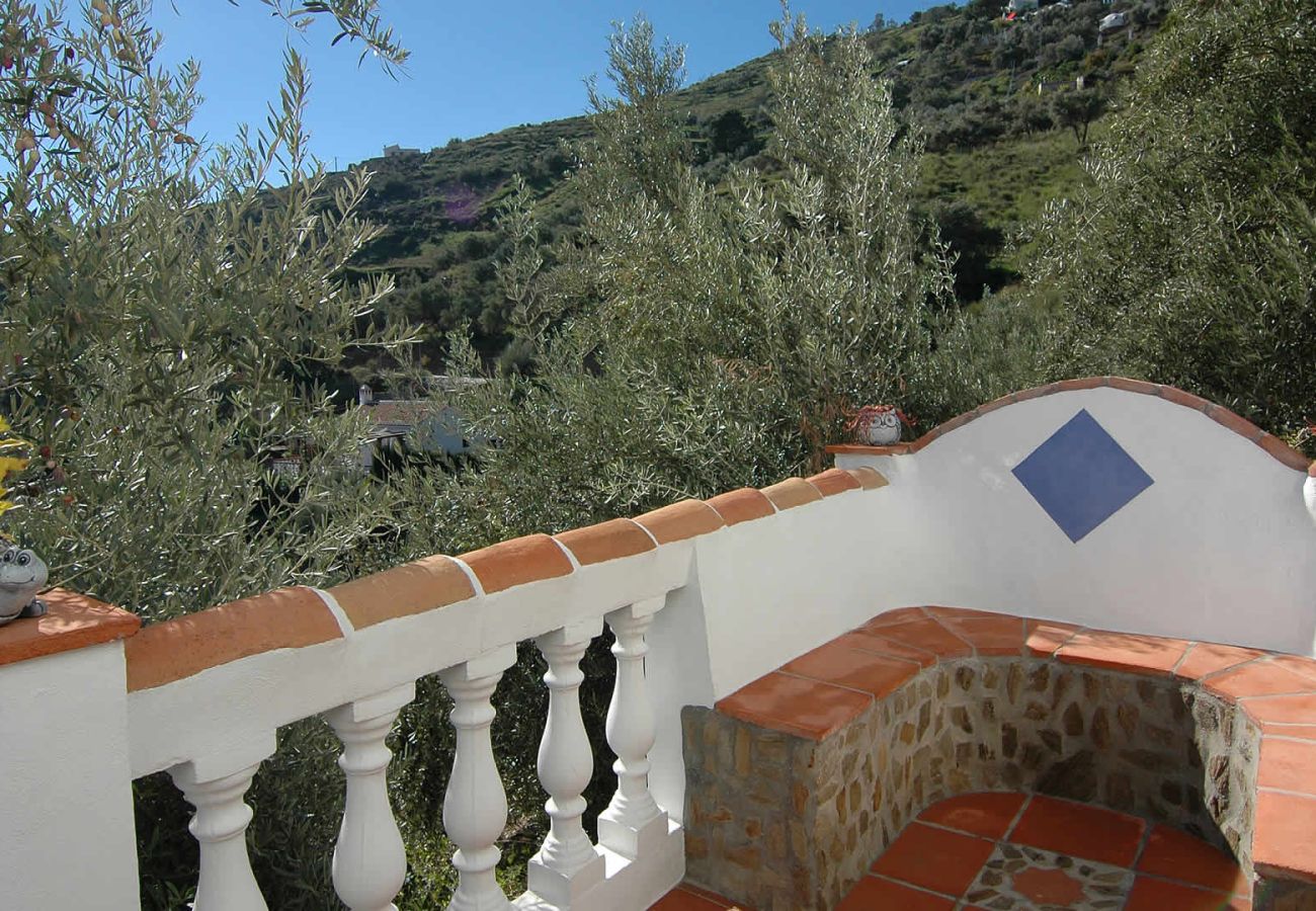 Villa à Frigiliana - Frigiliana 025